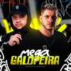 About MEGA GALOPEIRA Song
