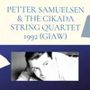 About Petter Samuelsen & The Cikada String Quartet 1992 (GIAW) Song