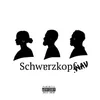 About Schwarzkopf Song