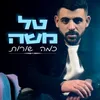 About כמה שורות Song