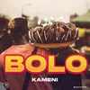 About Bolo Song