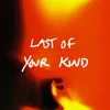 About Last Of Your Kind Song