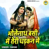 About Bholenath Basi Main Teri Dhadkan Mein Song