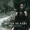 About Natten är kung Song