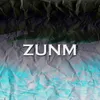 About Zunm Song