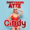 About Cindy (Sind die echt?!) Song