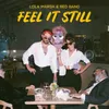 About Feel It Still Song