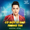 Có Một Vì Sao Trong Tim