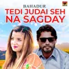 About Tedi Judai Seh Na Sagday Song