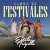 Vamos de Festivales