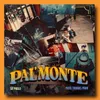 About Pal Monte Song