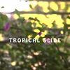 Tropical Slide