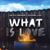 About What is Love Song