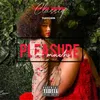 About Too Much Pleasure Song