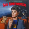 About Soy Sentimental Song