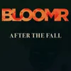 About After the Fall Song