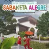 About Sabaneta Alegre - Vallecito Del Encanto Song