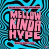 About Mellow Kinda Hype Song