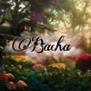 About Bacha Song