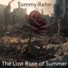 About The Last Rose of Summer Song