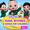 Nila Nila Odi Vaa Baby Sleep Song