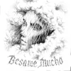 About Bésame Mucho Song
