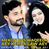 Mekon Das Waqeela Aey Kehra Law Aey