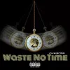 About Waste no Time Song