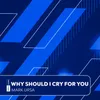 About Why Should I Cry For You Song