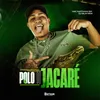 About Polo Do Jacaré Song