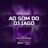 About Ao Som Do Dj Iago Song