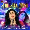 About Dil Da Jani Song