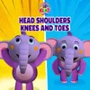About Head Shoulders Knees and Toes Song