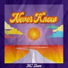 About Never Know Song