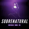 About Sobrenatural Song