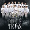 About Por qué te vas Song