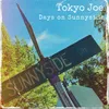 About Days On Sunnyside Song