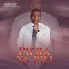 About Picha ya Pili Song