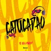 About Catucadão Song