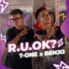 About R.U.OK? Song