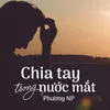 Chia Tay Trong Nước Mắt