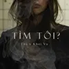 About Tìm Tôi? (Find Me?) Song