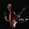 About לא מבינה Song