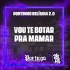 About Pontinho Relíquia 2.0 - Vou Te Botar Pra Mamar Song