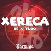 About Xereca de X-Tudo Song