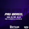 About PAU BRASIL Song