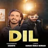 About Dil Song