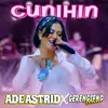 About Cunihin Song