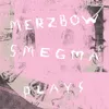 Smegma Plays Merzbow/ 16