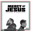 About Mercy of Jesus Song